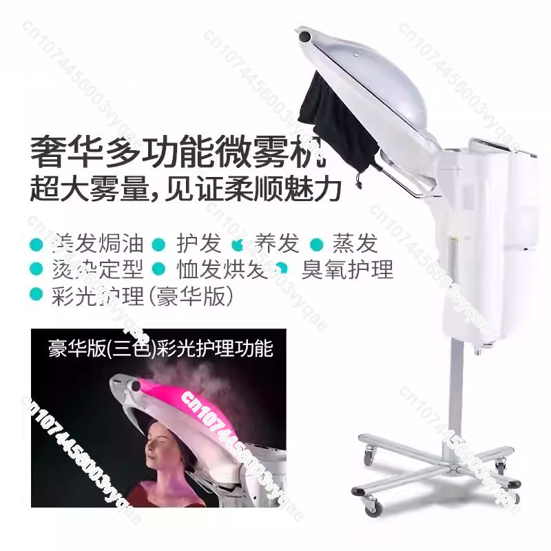 Oil Treatment Ozone Micro Mist - Hair Care Treatment 评论和价格
